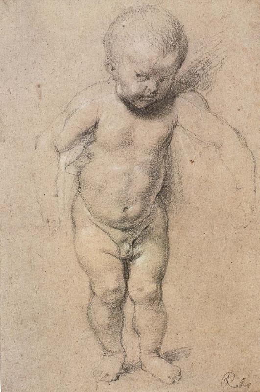 Peter Paul Rubens Jesus-s Childhood oil painting image